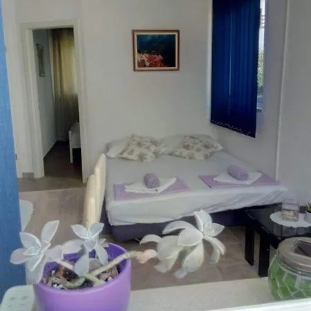 شقة Ferienwohnung Fuer 3 Personen Ca 36 Qm In Orebic, Dalmatien Sueddalmatien